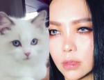 张惠妹晒撞脸猫咪照 自侃：是同个化妆师吗？